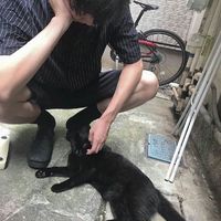 超爱宠物的帅哥qq男生头像图片大全
