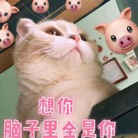 伤感古代背影图片女生头像(8)