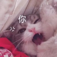 情侣头像一半一张黑白(6)