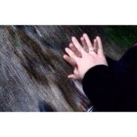 汤姆猫情侣个性头像