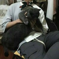 微信头像儿童帅气(10)