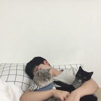 一个男生用柯南做头像(17)