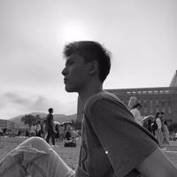 微信头像图片大全猫咪(16)