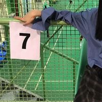 欧美高清时尚头像女生(12)