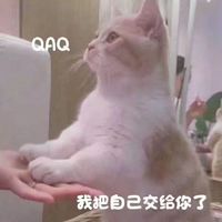 情侣头像识别(3)