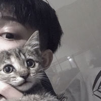 头像微信枫叶动态图片大全(14)