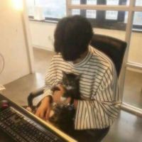 微信头像花草唯美壁纸(17)