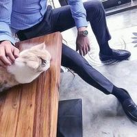 用弥彦头像的男生(2)