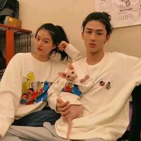 微信猪头像什么意思(12)