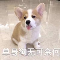 好运美女微信头像(8)