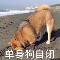 卡哇伊 萌点的头像女生头像女生(4)