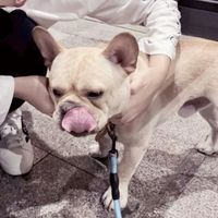 头像情侣黑(3)