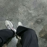 微信鲜花头像 50岁以上(15)