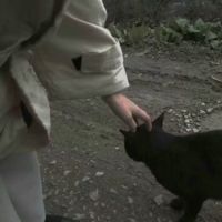戴眼镜小萝莉头像女生(2)