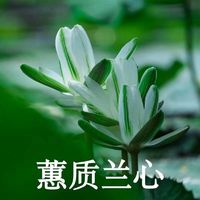 欧美背头男生伤感头像