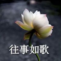 今日最火的欧美情侣头像(7)