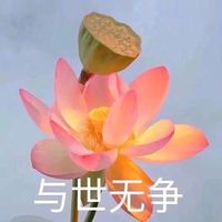 微信头像放猫好不好(8)