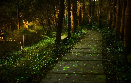 关于angel英文网名
