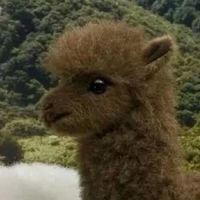 情侣头像背影一人一张抱狗(19)