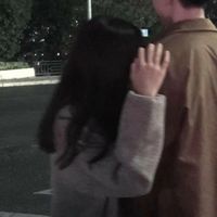 用绿色的树绿色的鸟做微信头像(4)
