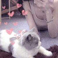 微信龙凤的头像图片大全(17)