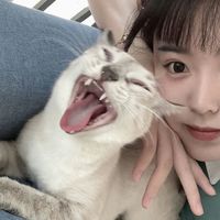女生头像最新版2020(7)