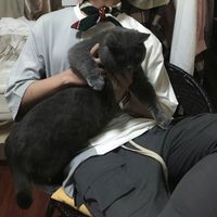 qq背影图片 男生 霸气 帅气头像(19)