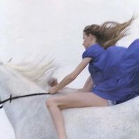梅花有字的微信头像(2)