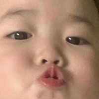 超萌宠物情侣头像一对两张(6)
