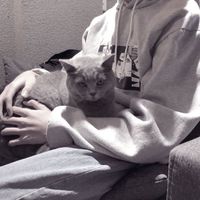戴口罩的男生头像 黑白头像(4)
