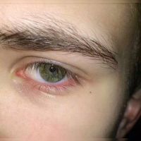 微信头像十二生肖(8)