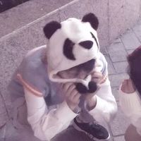 微信头像陈字来源(5)