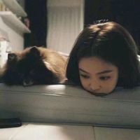 龙猫的微信头像图片大全(3)