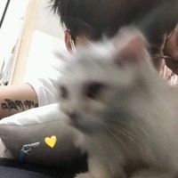 二次元蓝色系男生头像高清