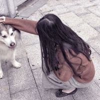 王者荣耀萌李白昭君情侣头像(14)