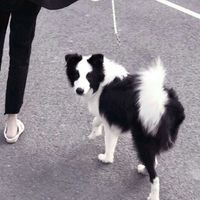 微信头像秋(10)