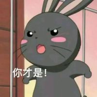 两个很相似的情侣头像(16)