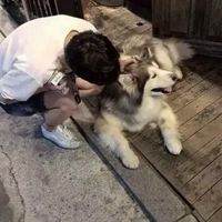 qqn男生头像贴吧(8)