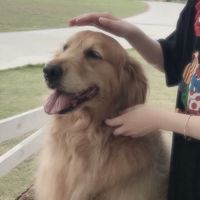 唯美风微信情侣头像图片