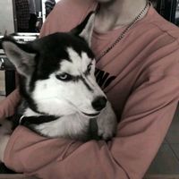 qq男生头像白衣服帅气(17)