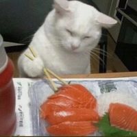 戴眼镜的明星男生头像(2)