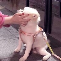 落寞微信头像(6)