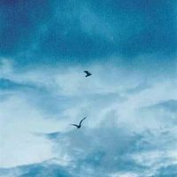 微信吕良伟头像(3)