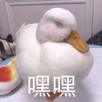 快手anse头像女生(16)