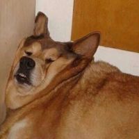 剑三情侣头像苍云