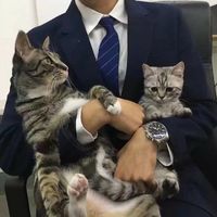 要一棵结满桔子的树 作为微信头像(12)