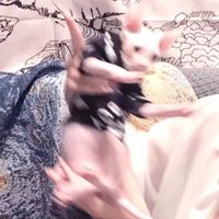 头像情侣一左一右青春校(20)