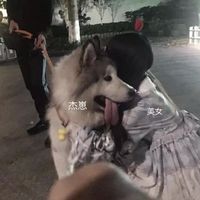 情侣头像妈(18)