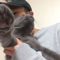 男生头像霸气超拽 冷酷 帅哥图片(9)