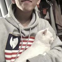 qq男生头像帅气呆萌(4)
